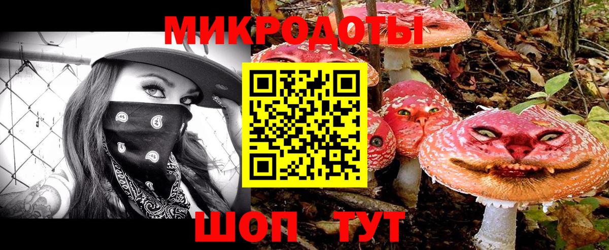 Псилоцибиновые грибы прущие грибы  Галлюциногенные грибы MAGIC MUSHROOMS  закладки  Вход с VPN  Железногорск 