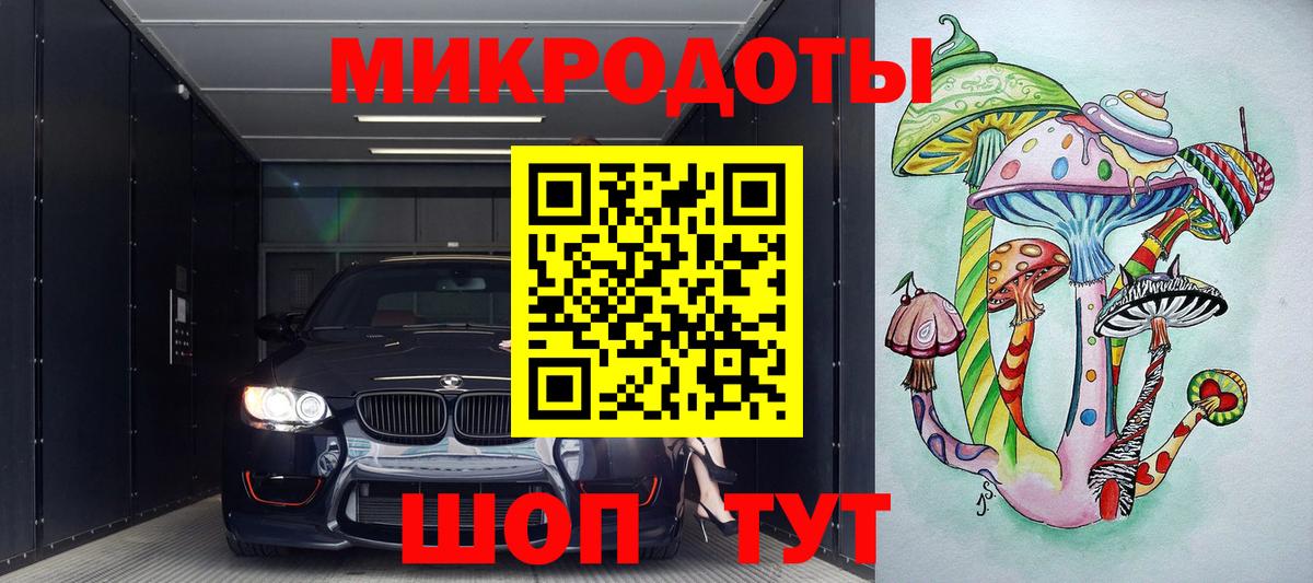 Псилоцибиновые грибы Psilocybe Железногорск